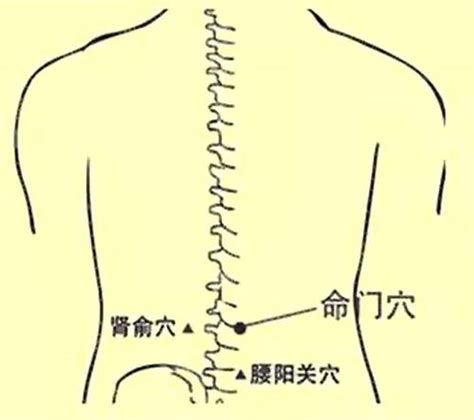 腰窩命理